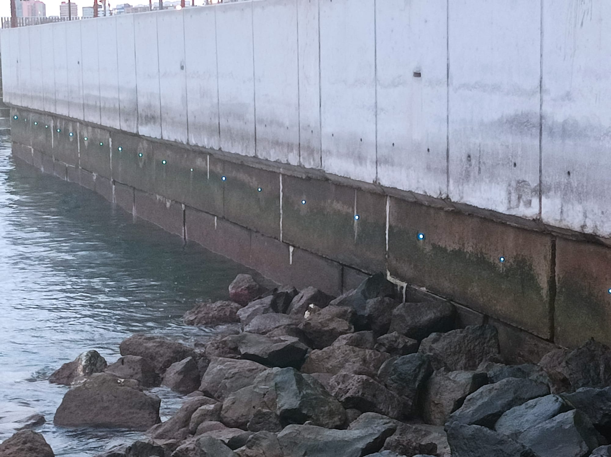 03 Charcos de Valleseco