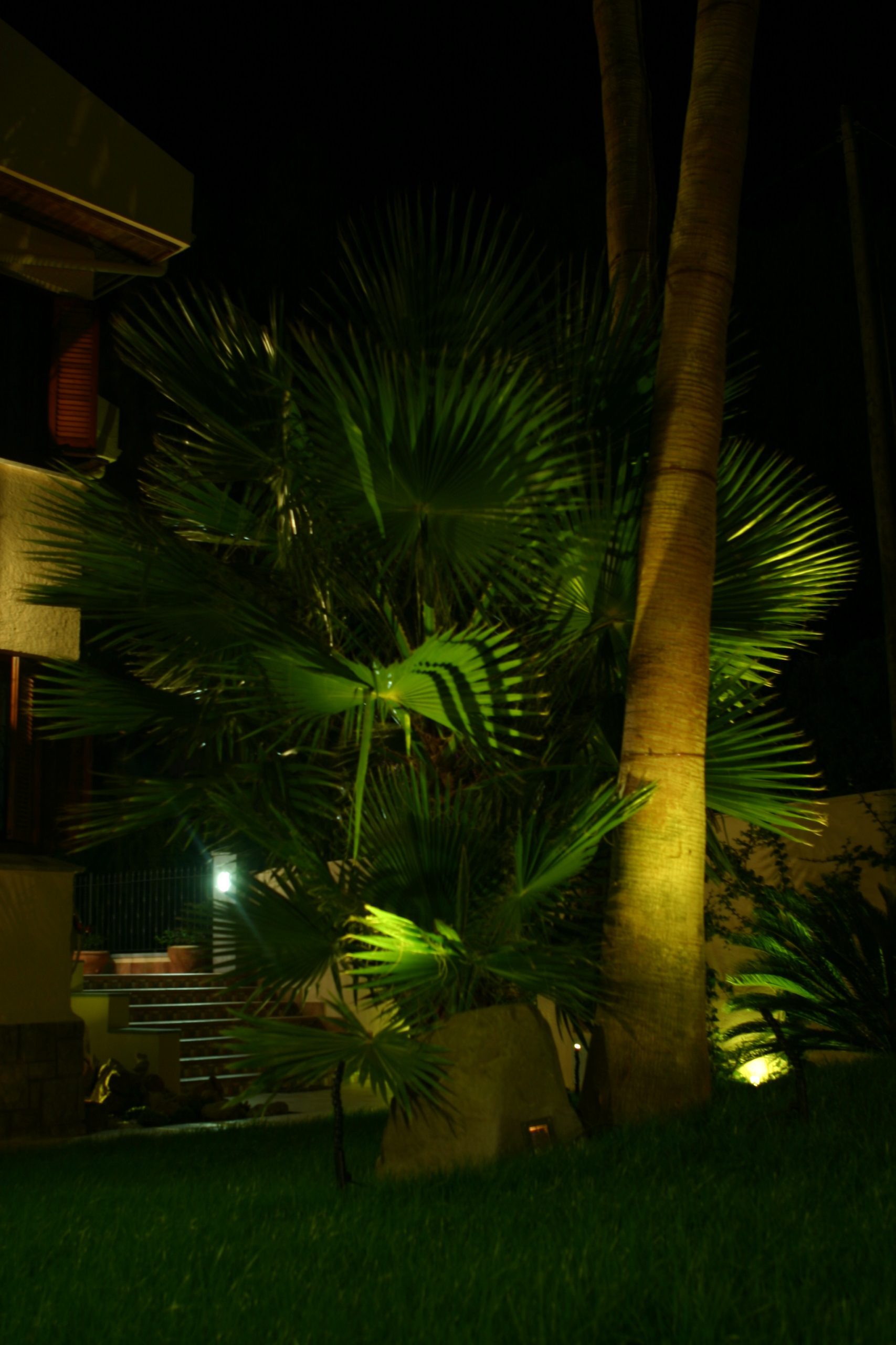 11 Jardín Chalet Particular