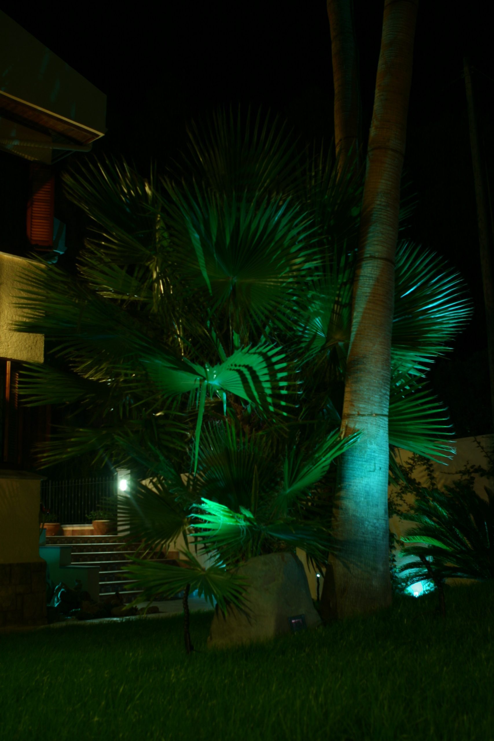 12 Jardín Chalet Particular