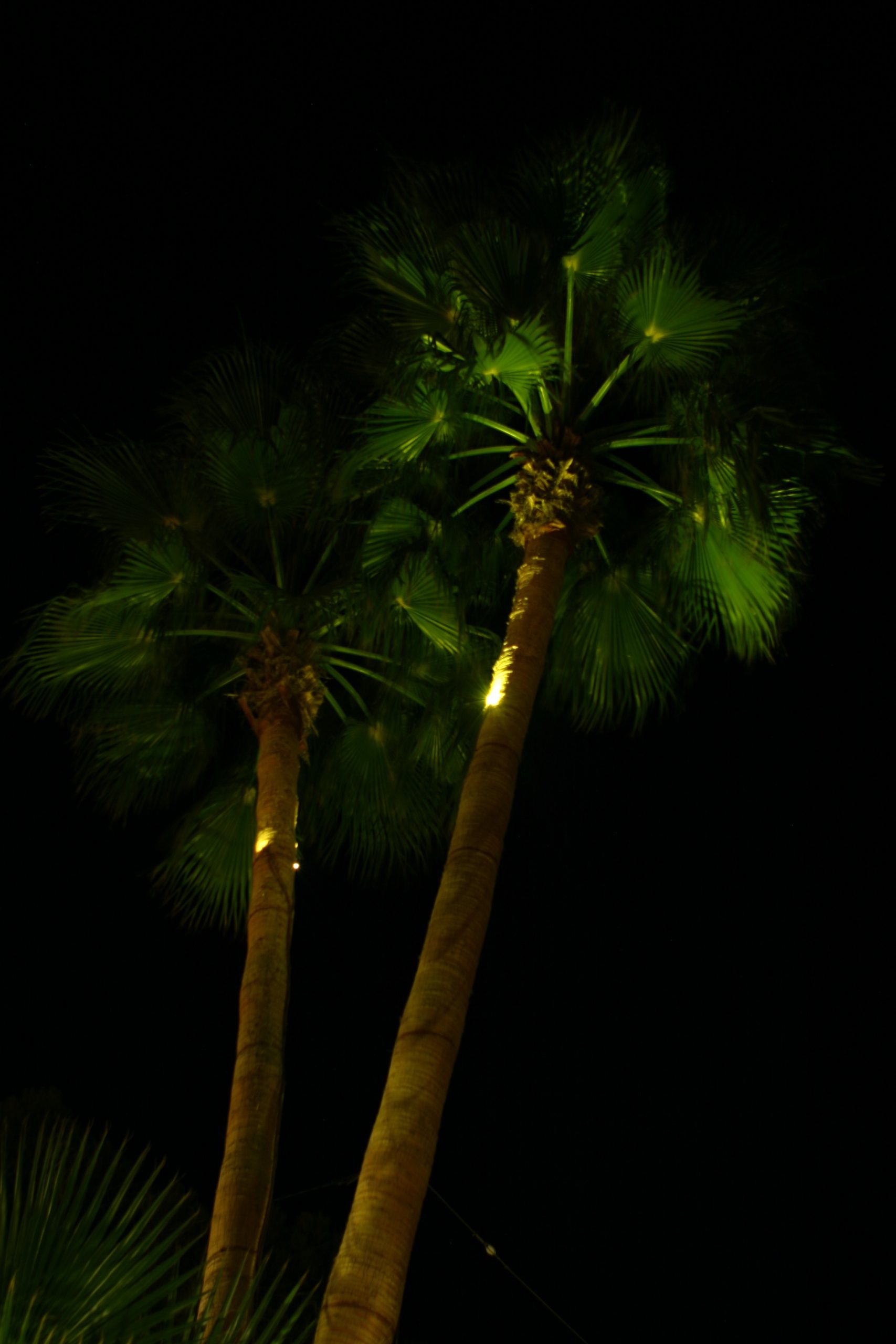 13 Jardín Chalet Particular