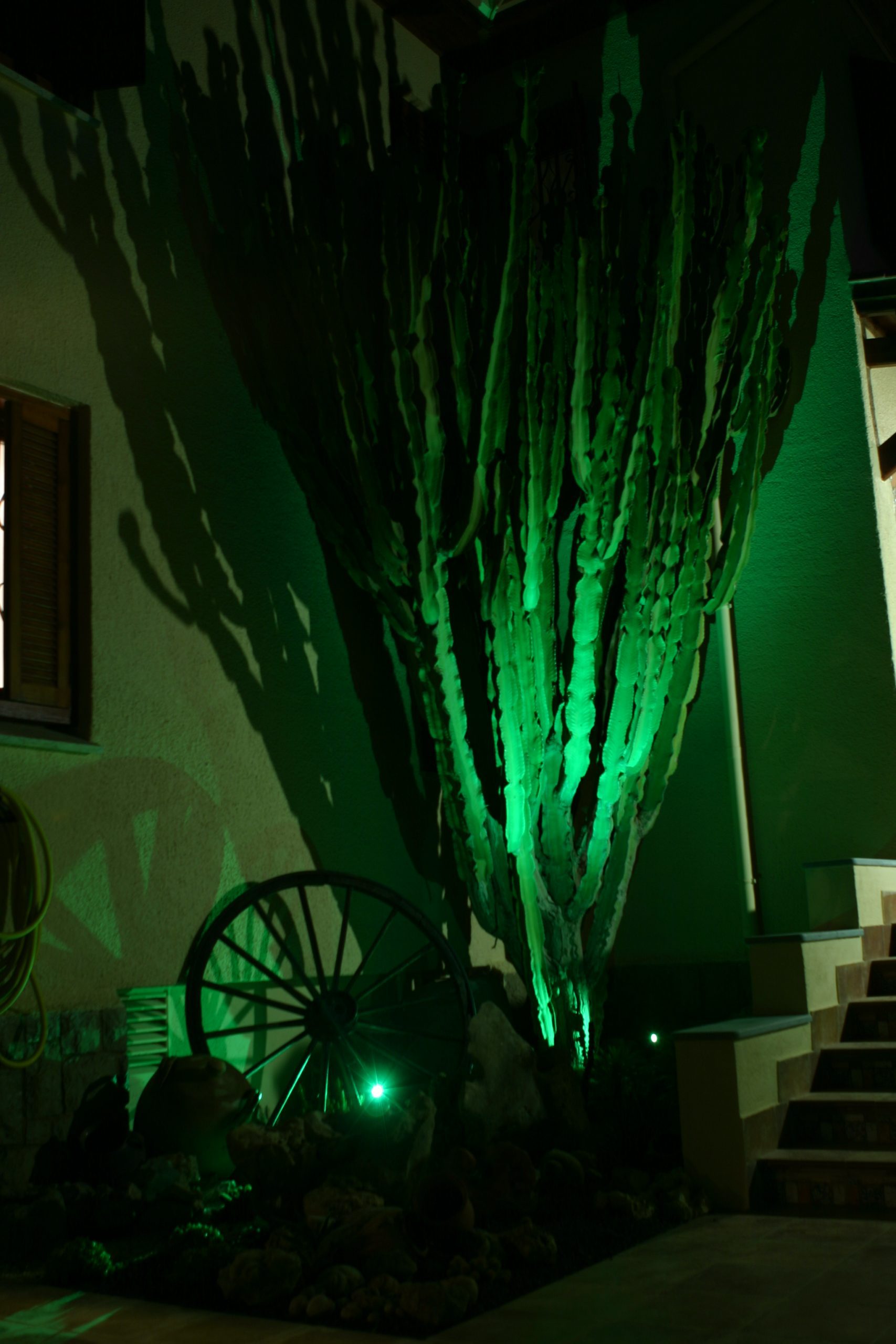 20 Jardín Chalet Particular