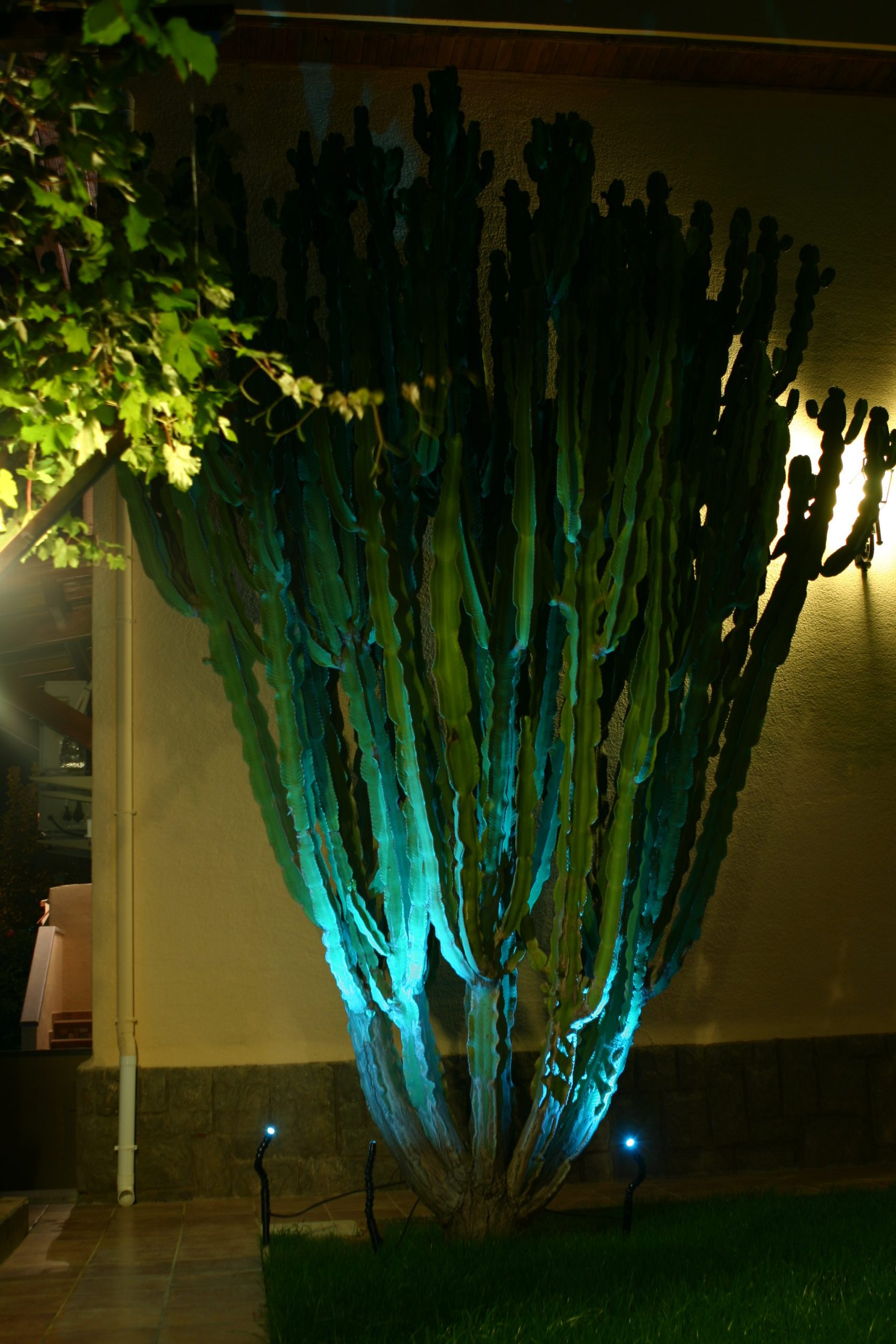 23 Jardín Chalet Particular