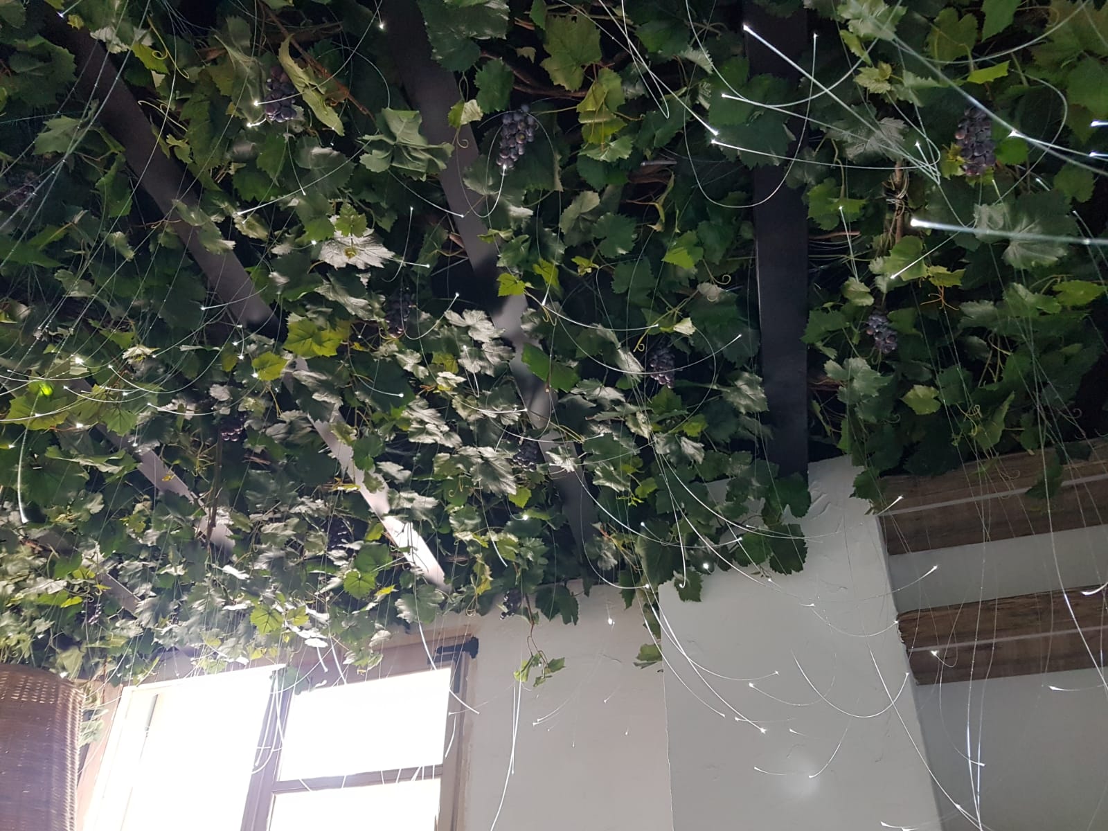 2021-06-21 13.07.46-1